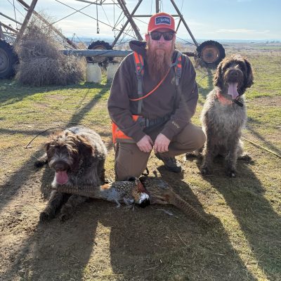 rowdy tilly and jagger